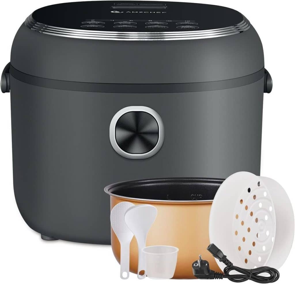 Test : aMZCHEF mini cuiseur de riz 4L - multifonction et puissant